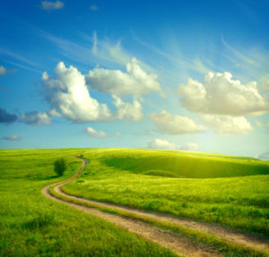 Fotolia_30444401_XS