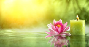 Burning candle and water lily in water.